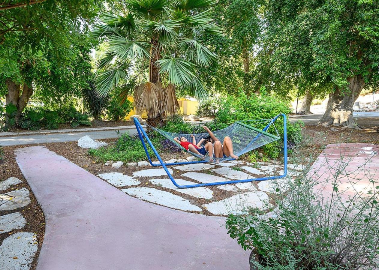 Jordan Valley Birding Lodge Kefar Ruppin エクステリア 写真
