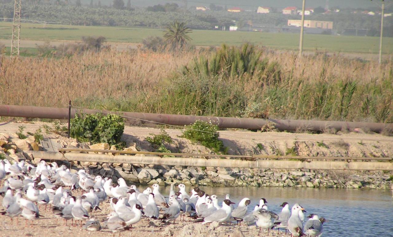 Jordan Valley Birding Lodge Kefar Ruppin エクステリア 写真